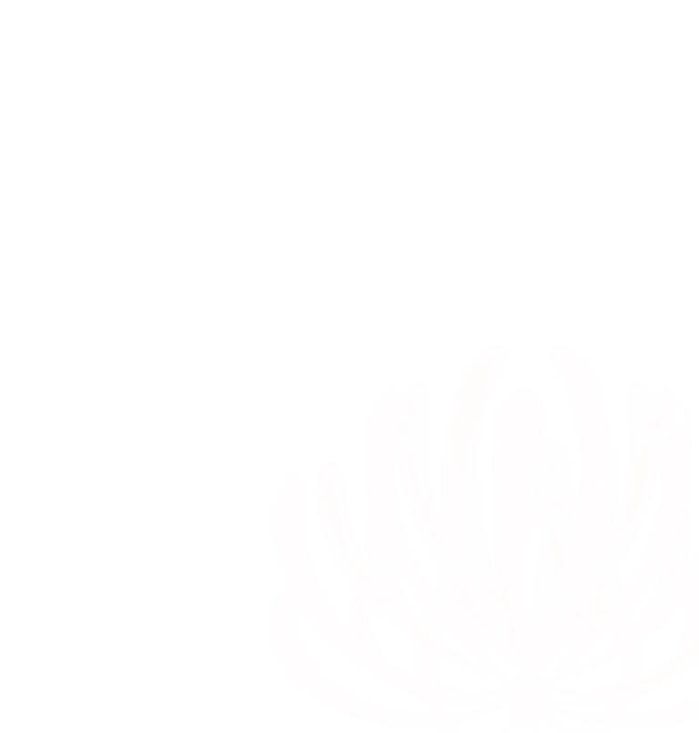 Abstract pink floral design on black