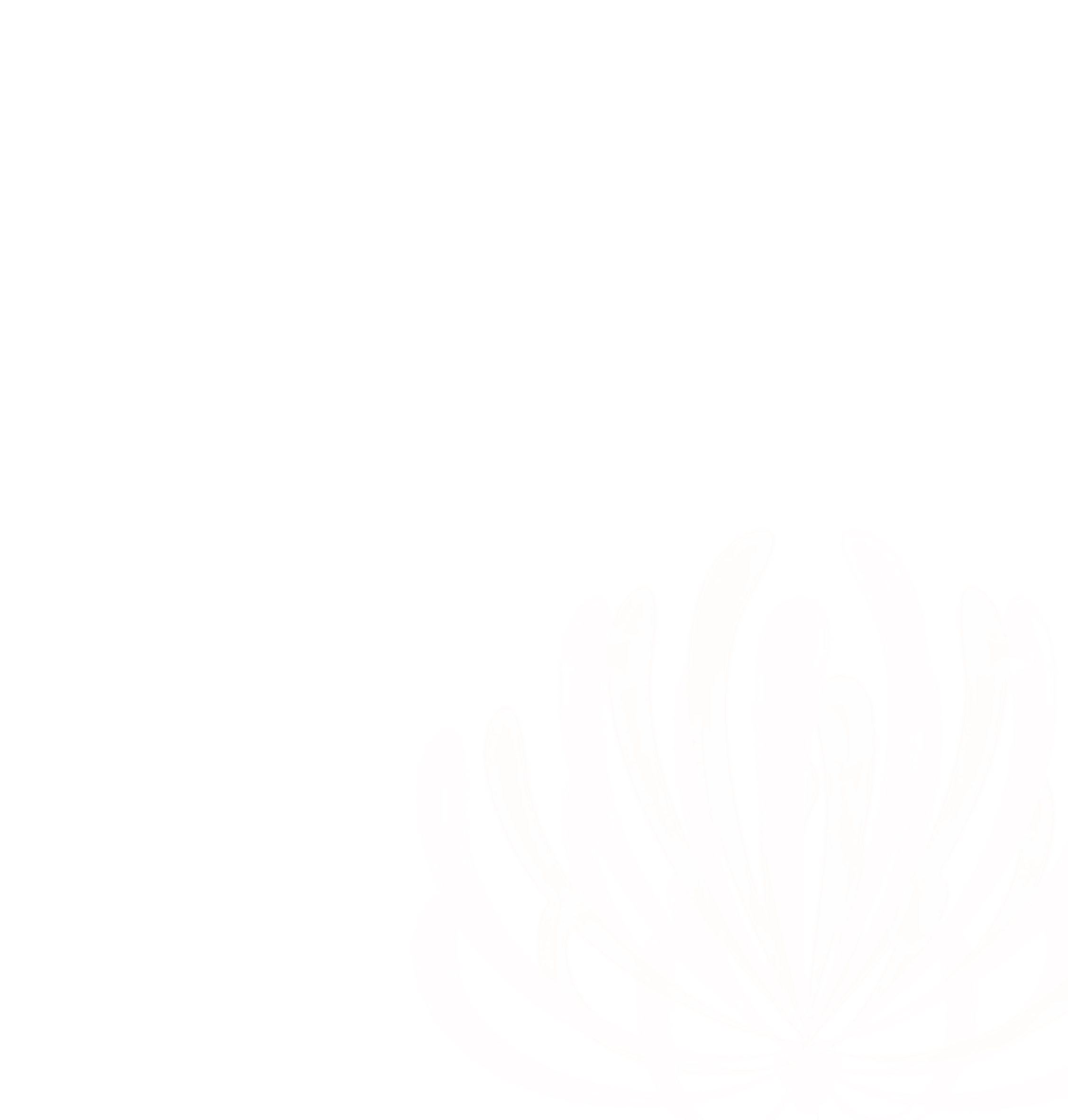 Abstract pink floral design on black